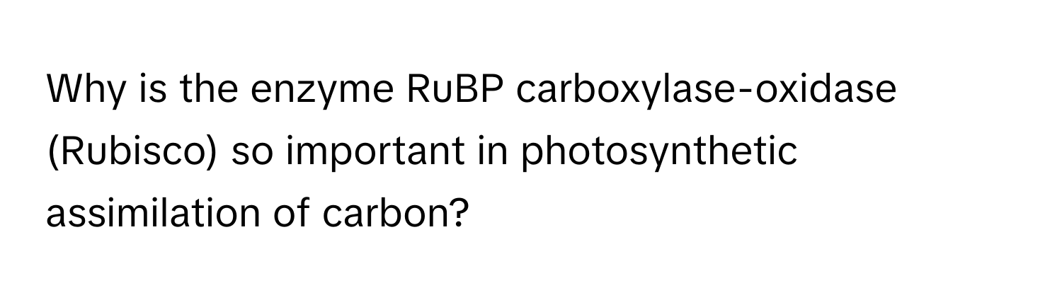 Why is the enzyme RuBP carboxylase-oxidase (Rubisco) so important in photosynthetic assimilation of carbon?