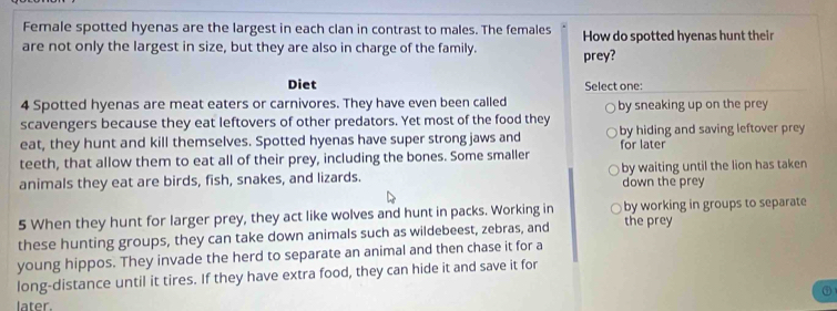 Female spotted hyenas are the largest in each clan in contrast to males. The females How do spotted hyenas hunt their
are not only the largest in size, but they are also in charge of the family. prey?
Diet Select one:
4 Spotted hyenas are meat eaters or carnivores. They have even been called by sneaking up on the prey
scavengers because they eat leftovers of other predators. Yet most of the food they
eat, they hunt and kill themselves. Spotted hyenas have super strong jaws and for later by hiding and saving leftover prey
teeth, that allow them to eat all of their prey, including the bones. Some smaller
animals they eat are birds, fish, snakes, and lizards. by waiting until the lion has taken 
down the prey
5 When they hunt for larger prey, they act like wolves and hunt in packs. Working in by working in groups to separate
these hunting groups, they can take down animals such as wildebeest, zebras, and the prey
young hippos. They invade the herd to separate an animal and then chase it for a
long-distance until it tires. If they have extra food, they can hide it and save it for
①
later.