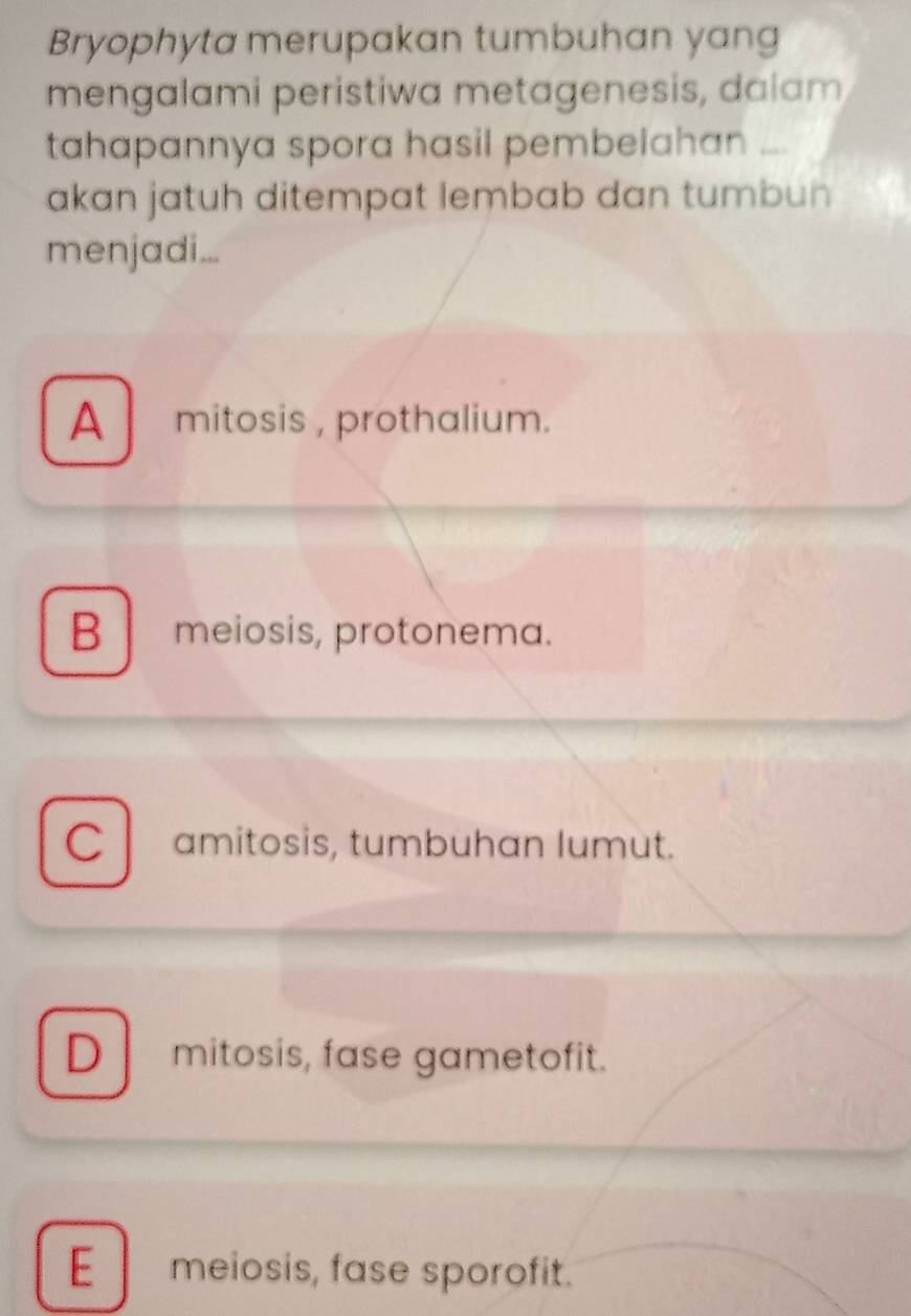 Bryophyta merupakan tumbuhan yang
mengalami peristiwa metagenesis, dalam
tahapannya spora hasil pembelahan 
akan jatuh ditempat lembab dan tumbun 
menjadi...
A mitosis , prothalium.
B meiosis, protonema.
C amitosis, tumbuhan lumut.
Dmitosis, fase gametofit.
E meiosis, fase sporofit.