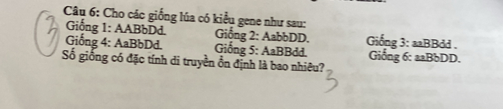 Cho các giống lúa có kiểu gene như sau: 
Giống 1: AABbDd. Giống 2: AabbDD. Giống 3: aaBBdd . 
Giống 4: AaBbDd. Giống 5: AaBBdd. Giống 6: aaBbDD. 
Số giống có đặc tính di truyền ổn định là bao nhiêu?