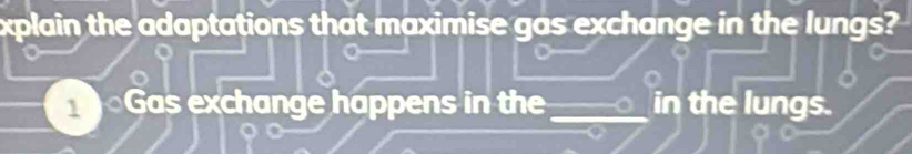 xplain the adaptations that maximise gas exchange in the lungs? 
Gas exchange happens in the_ in the lungs.