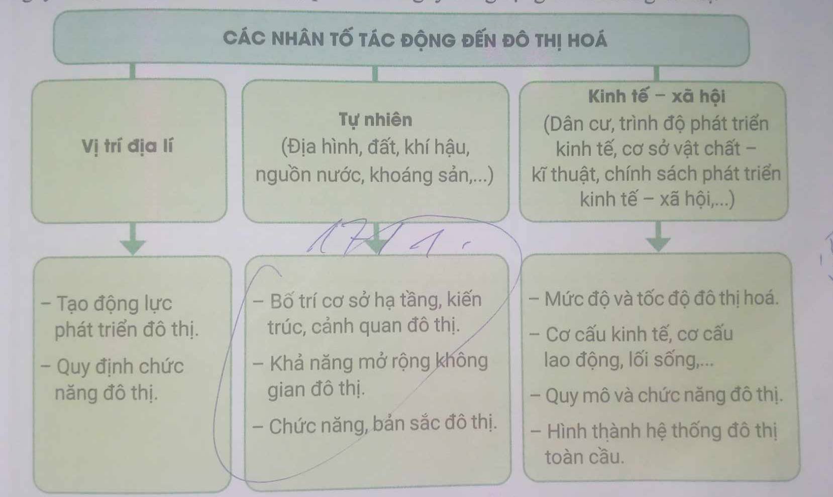 CáC NHâN tố táC độNG đến đô thị hOá 
Kinh tế - xã hội 
Tự nhiên 
(Dân cư, trình độ phát triển 
Vị trí địa lí (Địa hình, đất, khí hậu, kinh tế, cơ sở vật chất - 
nguồn nước, khoáng sản,...) kĩ thuật, chính sách phát triển 
kinh tế - xã hội,...) 
- Tạo động lực - Bố trí cơ sở hạ tầng, kiến - Mức độ và tốc độ đô thị hoá. 
phát triển đô thị. trúc, cảnh quan đô thị. 
- Cơ cấu kinh tế, cơ cấu 
- Quy định chức - Khả năng mở rộng không lao động, lối sống,... 
năng đô thị. gian đô thị. 
- Quy mô và chức năng đô thị. 
- Chức năng, bản sắc đô thị. - Hình thành hệ thống đô thị 
toàn cầu.