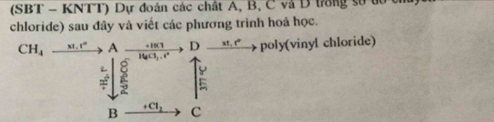 (SBT - KNTT) Dự đoán các chất A, B, C và D trong sử tổ tí 
chloride) sau đây và viết các phương trình hoá học. 
CH_4xrightarrow xI.r^(alpha) A frac +10C_2H_2C_3... D _ x1,t° poly(vinyl chloride) 

B + Cl_2 C