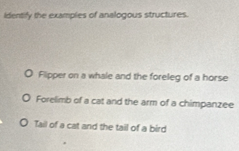 Identify the examples of analogous structures.
Flipper on a whale and the foreleg of a horse
Forelimb of a cat and the arm of a chimpanzee
Tail of a cat and the tail of a bird