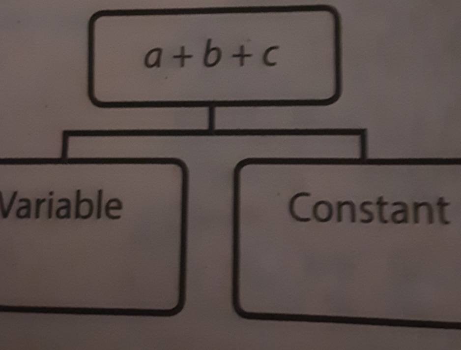 a+b+c
Variable Constant