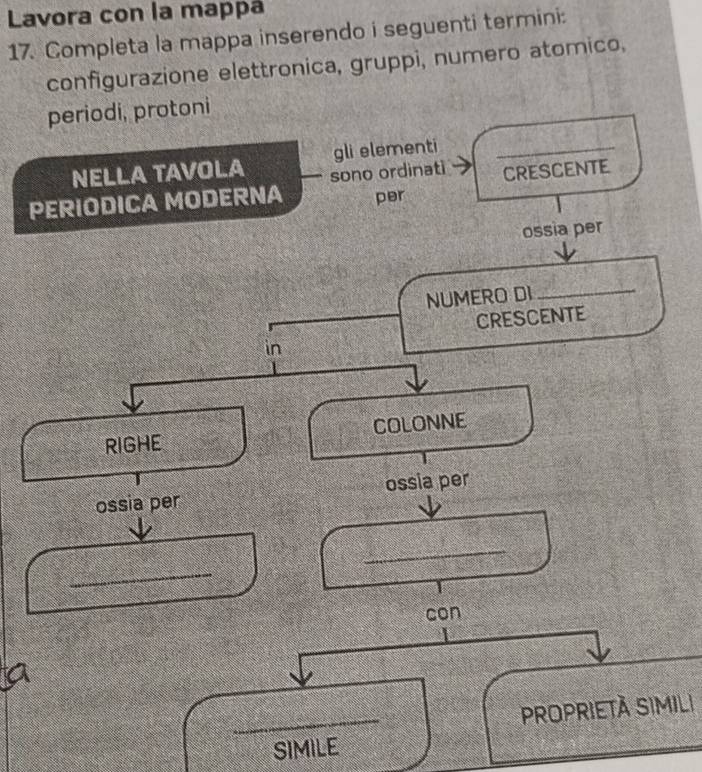 Lavora con la mappá 
17. Completa la mappa inserendo i seguenti termini: 
configurazione elettronica, gruppi, numero atomico, 
periodi, protoni 
gli elementi_ 
NELLA TAVOLA sono ordinati 
PERIODICA MODERNA per CRESCENTE 
ossia per 
NUMERO DI_ 
crescente 
in 
RIGHE colonne 
ossia per ossia per 
_ 
_ 
con 
_ 
PROPRIETÀ SIMILi 
SIMILE