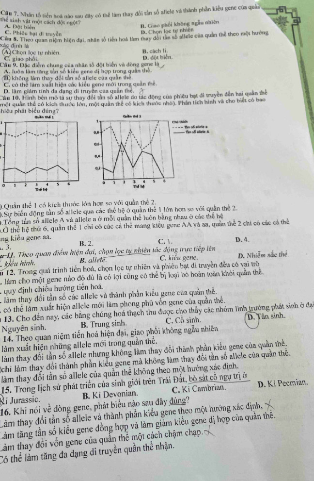 Cậu 7. Nhân tổ tiền hoà nào sau đây có thể làm thay đổi tần số allele và thành phần kiểu gene của quản
thể sinh vật một cách đột ngột?
A. Đột biển
B. Giao phối không ngẫu nhiên
C. Phiêu bạt di truyền
D. Chọn lọc tự nhiên
xác định là Cầu 8. Theo quan niệm hiện đại, nhân tổ tiền hoá làm thay đoi tân số allele của quần thể theo một hướng
A) Chọn lọc tự nhiên. B. cách li.
C. giao phối D. đột biển.
Câu 9. Đặc điểm chung của nhân tổ đột biển và đòng gene là
A. luôn làm tăng tần số kiểu gene dị hợp trong quần thê.
B không làm thay đổi tần số allele của quần thể.
C. có thể làm xuất hiện các kiểu gene mới trong quần thể.
D. làm giảm tính đa dạng di truyền của quần thể.
Câu 10. Hình bên mô tả sự thay đổi tần số allele do tác động của phiêu bạt di truyền đến hai quản thể
một quần thể có kích thước lớn, một quản thể có kích thước nhỏ). Phân tích hình và cho biết có bao
hiệu phát biểu đúng?
Quầin thể 3
1
Chú thích
,8 ==== Tn số allelie a
-Tìm số alliele A
,6 -
Y
0,4 -
0,2 -
3 5 6
。 1 2 Thể hệ
0
0.Quần thể 1 có kích thước lớn hơn so với quần thể 2.
0.Sự biến động tần số allele qua các thế hệ ở quần thể 1 lớn hơn so với quần thể 2.
0.Tổng tần số allele A và allele a ở mỗi quần thể luôn bằng nhau ở các thể hệ
0.Ở thể hệ thứ 6, quần thể 1 chỉ có các cả thể mang kiểu gene AA và aa, quần thể 2 chi có các cá thể
ng kiểu gene aa.. 3. B. 2. C. 1. D. 4.
# I1. Theo quan điểm hiện đại, chọn lọc tự nhiên tác động trực tiếp lên
kiểu hình. B. allete. C. kiểu gene. D. Nhiễm sắc thể.
u 12. Trong quá trình tiến hoá, chọn lọc tự nhiên và phiêu bạt di truyền đều có vai trò
làm cho một gene nào đó dù là có lợi cũng có thể bị loại bỏ hoàn toàn khỏi quần thể.
,  quy định chiều hướng tiến hoá.
. làm thay đổi tần số các allele và thành phần kiểu gene của quần thể.
A có thể làm xuất hiện allele mới làm phong phú vốn gene của quần thể.
n 13. Cho đến nay, các bằng chúng hoá thạch thu được cho thấy các nhóm linh trưởng phát sinh ở đại
Nguyên sinh. B. Trung sinh. C. Cổ sinh. D. Tân sinh.
14. Theo quan niệm tiến hoá hiện đại, giao phối không ngẫu nhiên
làm xuất hiện những allele mới trong quần thể.
làm thay đổi tần số allele nhưng không làm thay đổi thành phần kiểu gene của quần thể.
Ochi làm thay đổi thành phần kiểu gene mà không làm thay đổi tần số allele của quần thể.
làm thay đổi tần số allele của quần thể không theo một hướng xác định.
15. Trong lịch sử phát triển của sinh giới trên Trái Đất, bò sát cổ ngự trị ở
i Jurassic. B. Ki Devonian. C. Ki Cambrian. D. Ki Pecmian.
16. Khi nói về dòng gene, phát biểu nào sau đây đúng?
Càm thay đổi tần số allele và thành phần kiểu gene theo một hướng xác định,
Làm tăng tần số kiểu gene đồng hợp và làm giảm kiều gene dị hợp của quần thể.
Càm thay đổi vốn gene của quần thể một cách chậm chạp.
Có thể làm tăng đa dạng di truyền quần thể nhận.