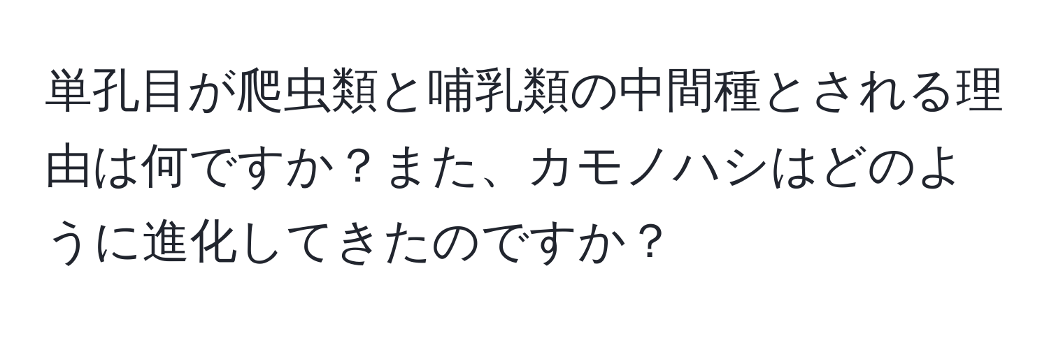 単孔目が爬虫類と哺乳類の中間種とされる理由は何ですか？また、カモノハシはどのように進化してきたのですか？