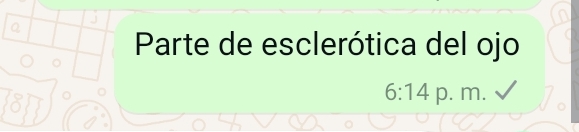 Parte de esclerótica del ojo
6:14 p. m.
o