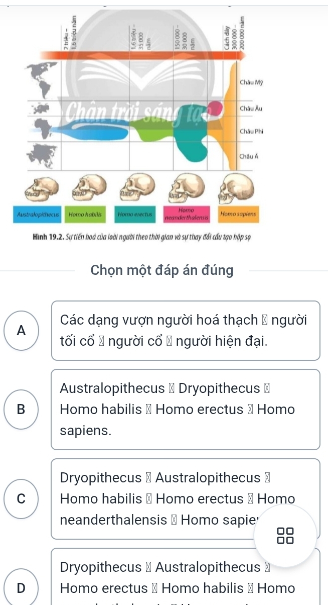 Chọn một đáp án đúng
A Các dạng vượn người hoá thạch & người
tối cổ Ô người cổ Ô người hiện đại.
Australopithecus # Dryopithecus ⊥
B Homo habilis → Homo erectus → Homo
sapiens.
Dryopithecus # Australopithecus ⊥
C Homo habilis → Homo erectus # Homo
neanderthalensis → Homo sapier
Dryopithecus α Australopithecus ≌
D Homo erectus → Homo habilis → Homo