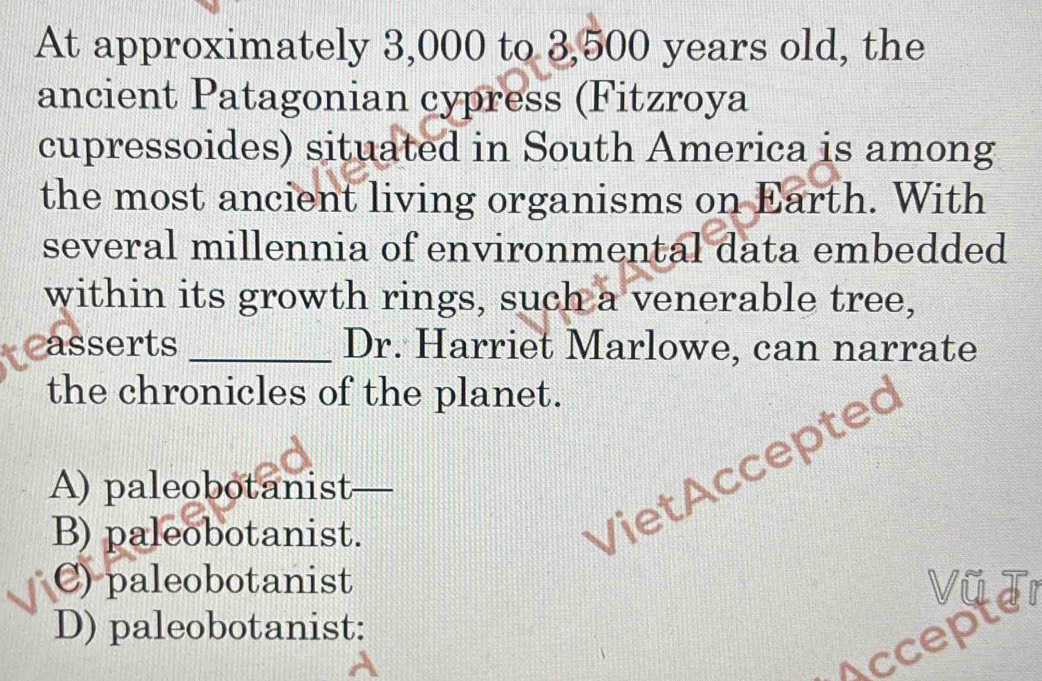 At approximately 3,000 to 3,500 years old, the
ancient Patagonian cypress (Fitzroya
cupressoides) situated in South America is among
the most ancient living organisms on Earth. With
several millennia of environmental data embedded
within its growth rings, such a venerable tree,
asserts _Dr. Harriet Marlowe, can narrate
the chronicles of the planet.
A) paleobotanist_
B) paleobotanist.
VietAccepted
C) paleobotanist
Accepte
D) paleobotanist: