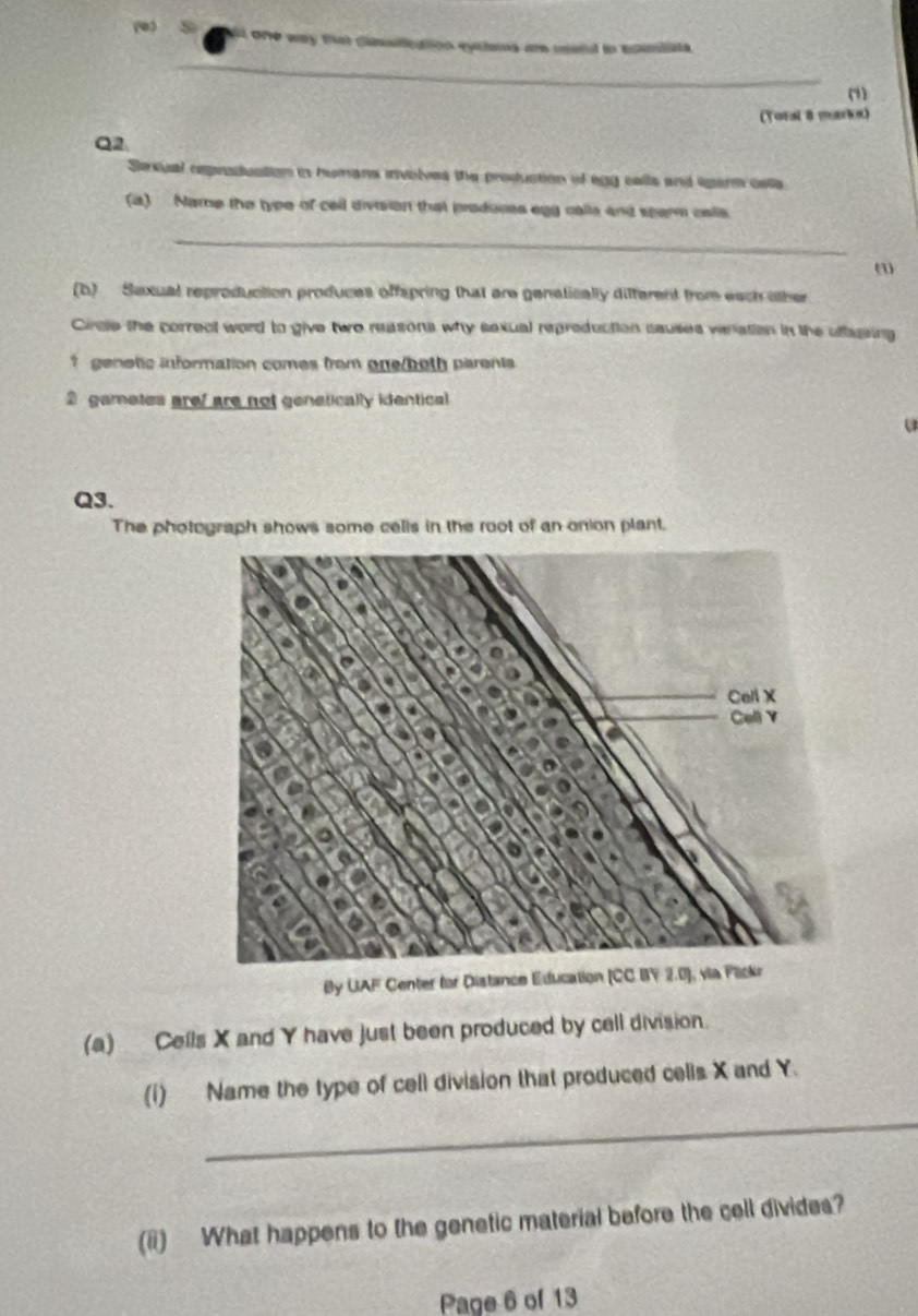 ll one way that Sinsification eyslams are msful to eounliste.
_
(
(Torsi 8 marks)
Q2
Sexual esproduction i humans invelves the production of egg calls and eparn calla
(a) Name the type of cell division that produces egg calls and sparm calls.
_
(3)
(b) Sexual reproduction produces offspring that are genalically different from each other
Circle the correct word to give two reasons why sexual repreduction causes veration in the oflasing
? genetic information comes from one/beth parents
2 gametes aref are not genetically identical
Q3.
The photograph shows some cells in the root of an onion plant.
By UAF Center for Distance Education (CC BY 2.0), via Plickr
(a) Cells X and Y have just been produced by cell division.
_
(i) Name the type of cell division that produced cells X and Y.
(ii) What happens to the genetic material before the cell divides?
Page 6 of 13