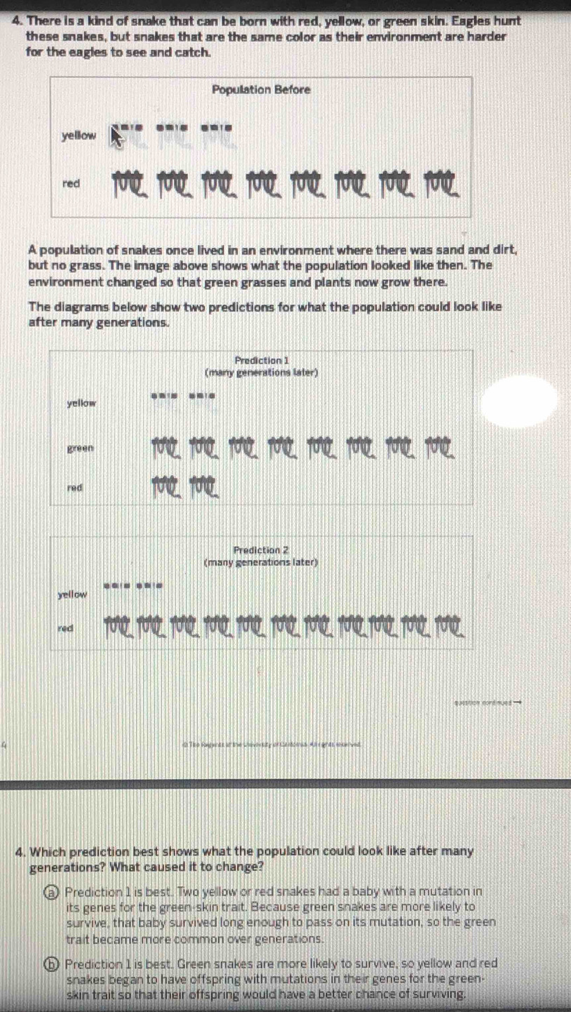 There is a kind of snake that can be born with red, yellow, or green skin. Eagles hunt
these snakes, but snakes that are the same color as their environment are harder
for the eagles to see and catch.
Population Before
yellow
red
A population of snakes once lived in an environment where there was sand and dirt,
but no grass. The image above shows what the population looked like then. The
environment changed so that green grasses and plants now grow there.
The diagrams below show two predictions for what the population could look like
after many generations.
Prediction 1
(many generations later)
yellow
green
red
Prediction 2
(many generations later)
yellow
red 2. 101, 100, 100, 100, 100, 10, 190.
4. Which prediction best shows what the population could look like after many
generations? What caused it to change?
a) Prediction 1 is best. Two yellow or red snakes had a baby with a mutation in
its genes for the green-skin trait. Because green snakes are more likely to
survive, that baby survived long enough to pass on its mutation, so the green
trait became more common over generations.
ⓑ Prediction 1 is best. Green snakes are more likely to survive, so yellow and red
snakes began to have offspring with mutations in their genes for the green-
skin trait so that their offspring would have a better chance of surviving.