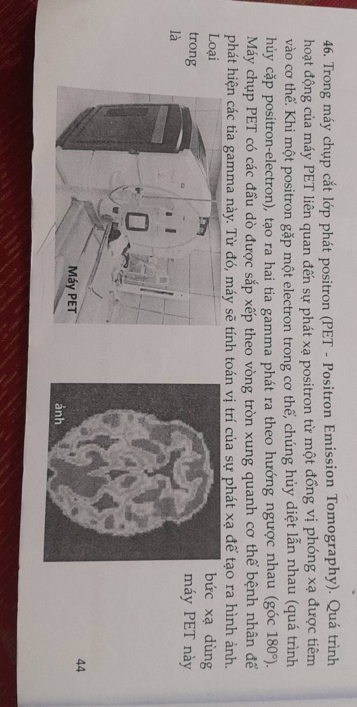 Trong máy chụp cắt lớp phát positron (PET - Positron Emission Tomography). Quá trình 
hoạt động của máy PET liên quan đến sự phát xạ positron từ một đồng vị phóng xạ được tiêm 
vào cơ thể. Khi một positron gặp một electron trong cơ thể, chúng hủy diệt lẫn nhau (quá trình 
chủy cặp positron-electron), tạo ra hai tia gamma phát ra theo hướng ngược nhau (góc 180°). 
Máy chụp PET có các đầu dò được sắp xếp theo vòng tròn xung quanh cơ thể bệnh nhân để 
phát hiện các tia gamma này. Từ đó, máy sẽ tính toán vị trí của sự phát xạ để tạo ra hình ảnh. 
Loại 
bức xạ dùng 
trongmáy PET này 
là 
44