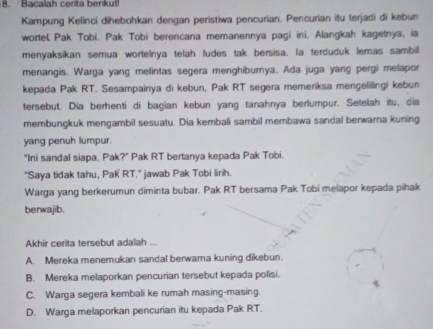 Bacalah cerita berikut!
Kampung Kelinci dihebohkan dengan peristiwa pencurian. Pencurian itu terjadi di kebun
wortel Pak Tobi. Pak Tobi berencana memanennya pagi ini. Alangkah kagetnya, ia
menyaksikan semua wortelnya telah ludes tak bersisa. la terduduk lemas sambill
menangis. Warga yang melintas segera menghibumya. Ada juga yang pergi melapor
kepada Pak RT. Sesampainya di kebun, Pak RT segera memeriksa mengelilingi kebun
tersebut. Dia berhenti di bagian kebun yang tanahnya berlumpur. Setelah itu, dia
membungkuk mengambil sesuatu. Dia kembali sambil membawa sandal berwarna kuning
yang penuh lumpur.
"Ini sandal siapa, Pak?" Pak RT bertanya kepada Pak Tobi.
"Saya tidak tahu, Pak RT,” jawab Pak Tobi lirih.
Warga yang berkerumun diminta bubar. Pak RT bersama Pak Tobi melapor kepada pihak
berwajib.
Akhir cerita tersebut adalah ...
A. Mereka menemukan sandal berwarna kuning dikebun.
B. Mereka melaporkan pencurian tersebut kepada polisi.
C. Warga segera kembali ke rumah masing-masing.
D. Warga melaporkan pencurian itu kepada Pak RT.