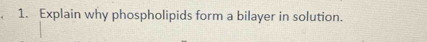 Explain why phospholipids form a bilayer in solution.