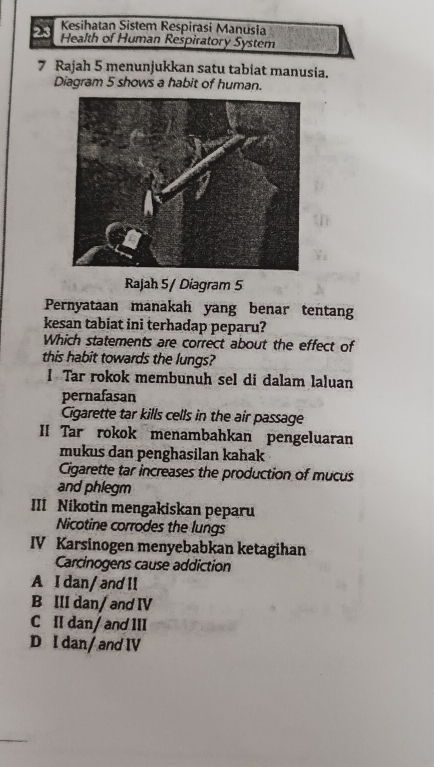 Kesihatan Sistem Respirasi Manusia
Health of Human Respiratory System
7 Rajah 5 menunjukkan satu tabiat manusia.
Diagram 5 shows a habit of human.
Rajah 5/ Diagram 5
Pernyataan manakah yang benar tentang
kesan tabiat ini terhadap peparu?
Which statements are correct about the effect of
this habit towards the lungs?
I Tar rokok membunuh sel di dalam laluan
pernafasan
Cigarette tar kills cells in the air passage
II Tar rokok menambahkan pengeluaran
mukus dan penghasilan kahak
Cigarette tar increases the production of mucus
and phlegm
III Nikotin mengakiskan peparu
Nicotine corrodes the lungs
IV Karsinogen menyebabkan ketagihan
Carcinogens cause addiction
A I dan/ and II
B III dan/ and IV
C II dan/ and III
D I dan/ and IV