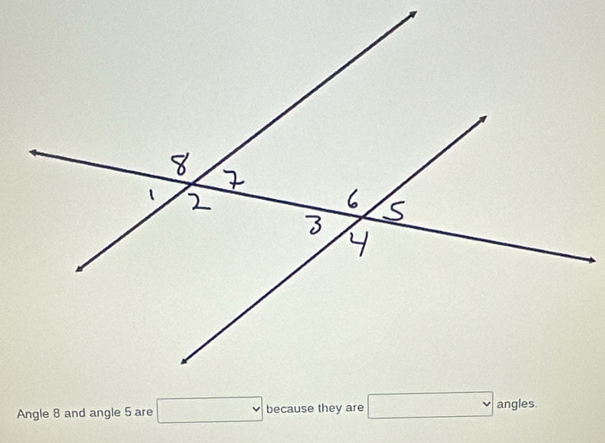 Angle 8 and angle 5 are □