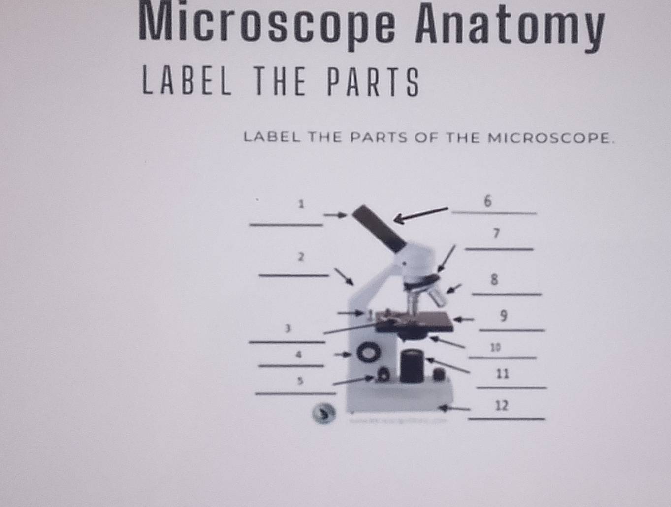 Solved: Microscope Anatomy LABEL THE PARTS LABEL tHE PARTS OF tHE ...