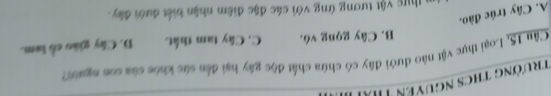 trường thCS nguyên Thờ
Câu 15, Loại thực vật nào dưới đây có chứa chất độc gây hại đến sức khóc của con ngườn
B. Cây gọng vô. C. Cây tam thất. D. Cây giáo cổ tam.
A. Cây trúc đào.
thực vật tương ứng với các đặc điểm nhận biết dưới đây.
