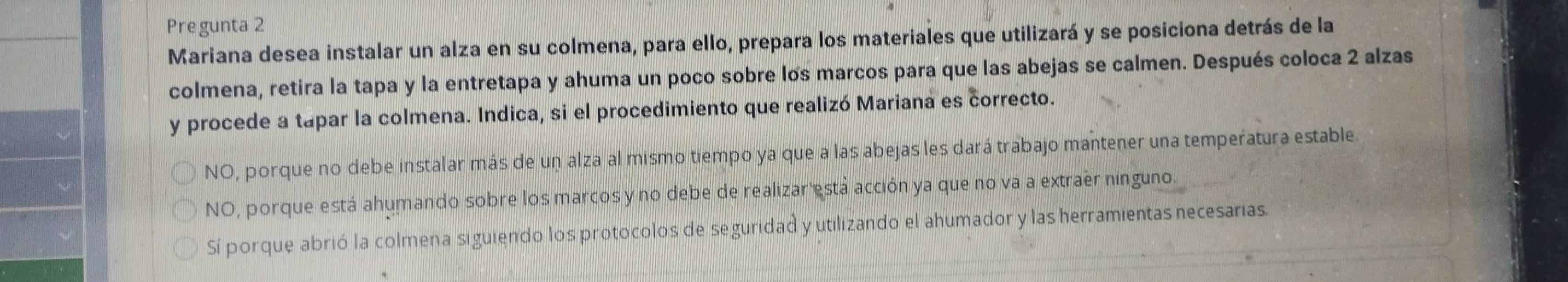 Pregunta 2
Mariana desea instalar un alza en su colmena, para ello, prepara los materiales que utilizará y se posiciona detrás de la
colmena, retira la tapa y la entretapa y ahuma un poco sobre los marcos para que las abejas se calmen. Después coloca 2 alzas
y procede a tapar la colmena. Indica, si el procedimiento que realizó Mariana es correcto.
NO, porque no debe instalar más de un alza al mismo tiempo ya que a las abejas les dará trabajo mantener una temperatura estable.
NO, porque está ahumando sobre los marcos y no debe de realizar está acción ya que no va a extraer ninguno.
Sí porque abrió la colmena siguiendo los protocolos de seguridad y utilizando el ahumador y las herramientas necesarias.