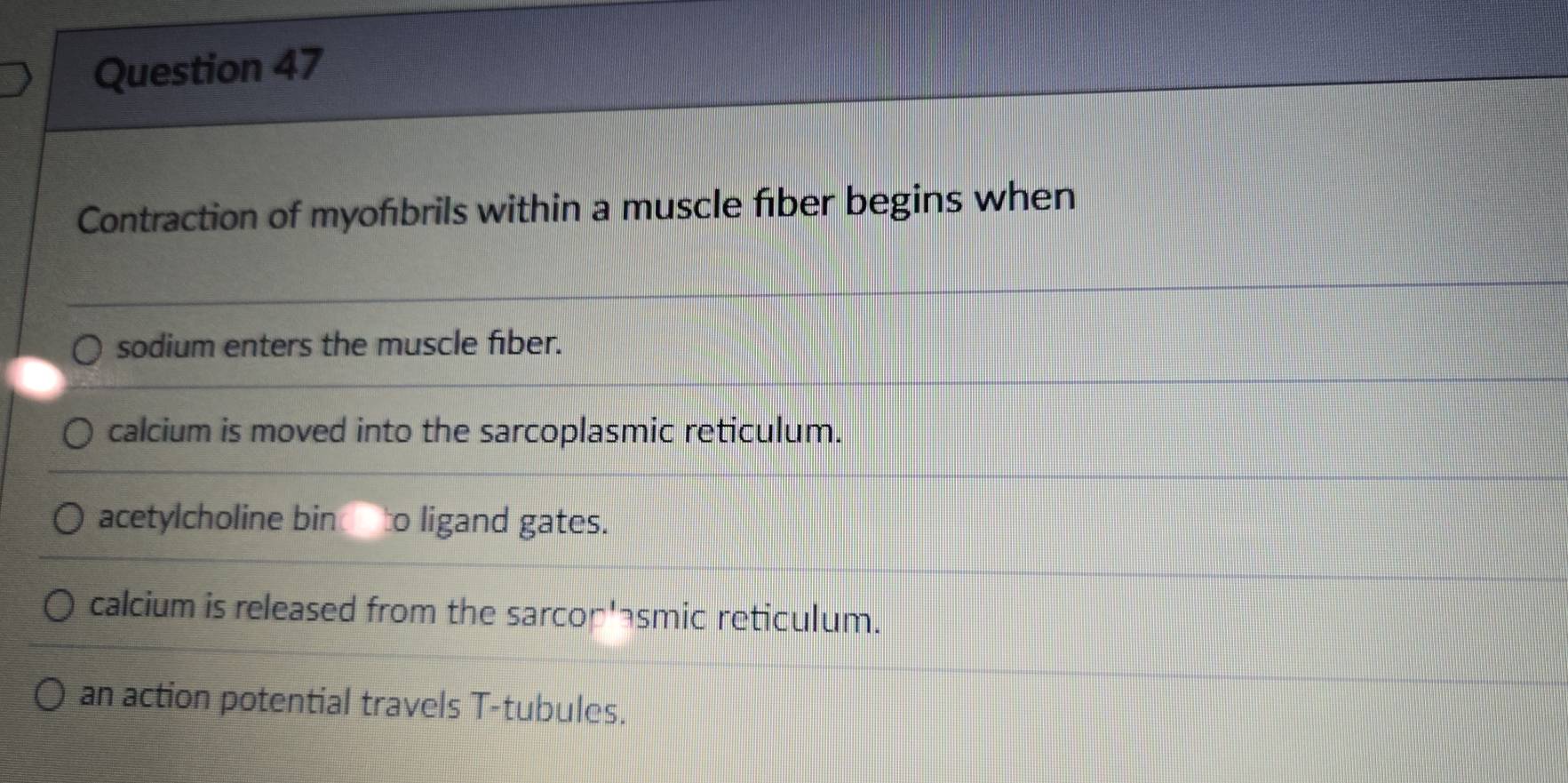 Contraction of myofbrils within a muscle fiber begins when
sodium enters the muscle fiber.
calcium is moved into the sarcoplasmic reticulum.
acetylcholine bin to ligand gates.
calcium is released from the sarcop'smic reticulum.
an action potential travels T-tubules.