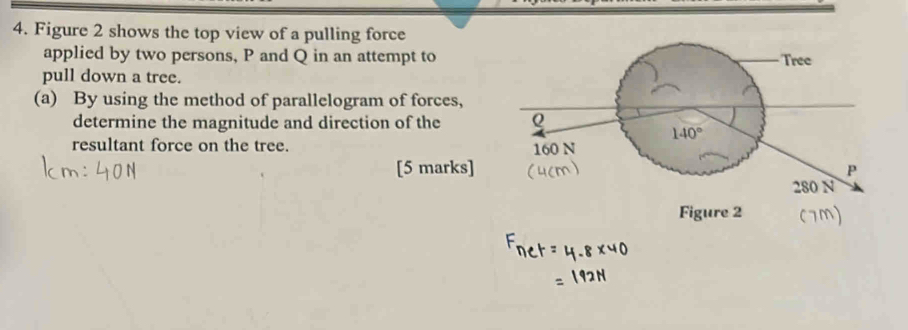 Figure 2 shows the top view of a pulling force 
applied by two persons, P and Q in an attempt to Tree 
pull down a tree. 
(a) By using the method of parallelogram of forces, 
determine the magnitude and direction of the Q
140°
resultant force on the tree. 160 N
[5 marks] P
280 N
Figure 2