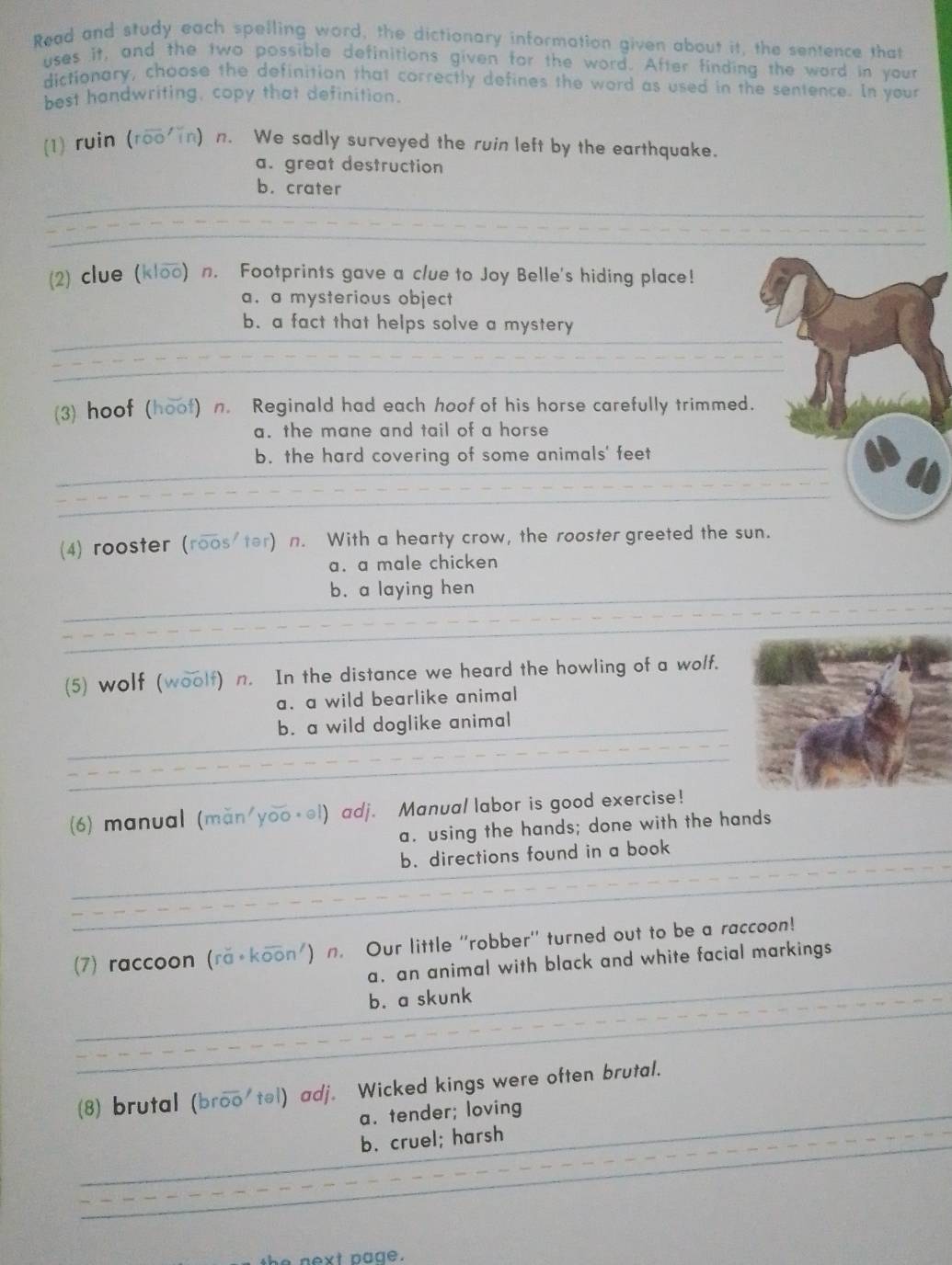 Read and study each spelling word, the dictionary information given about it, the sentence that
uses it, and the two possible definitions given for the word. After finding the word in your
dictionary, choose the definition that correctly defines the word as used in the sentence. In your
best handwriting, copy that definition.
(1) ruin (roo n) n. We sadly surveyed the ruin left by the earthquake.
a. great destruction
b. crater
(2) clue (kloo) n. Footprints gave a clue to Joy Belle's hiding place!
a. a mysterious object
b. a fact that helps solve a mystery
(3) hoof (hoof) n. Reginald had each hoof of his horse carefully trimmed.
a. the mane and tail of a horse
b. the hard covering of some animals' feet
(4) rooster (roos/tər) n. With a hearty crow, the rooster greeted the sun.
a. a male chicken
b. a laying hen
(5) wolf (woolf) n. In the distance we heard the howling of a wolf.
a. a wild bearlike animal
b. a wild doglike animal
(6) manual (man'yoo+əl) adj. Manual labor is good exercise!
a. using the hands; done with the hands
b. directions found in a book
7) raccoon (ra+koon') n. Our little ''robber'' turned out to be a raccoon!
a. an animal with black and white facial markings
b. a skunk
(8 brutal (broo/təl) adj. Wicked kings were often brutal.
a. tender; loving
b. cruel; harsh
next page.