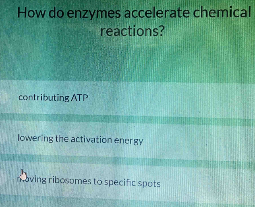 How do enzymes accelerate chemical
reactions?
contributing ATP
lowering the activation energy
n oving ribosomes to specific spots