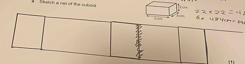 a Sketch a net of the cuboid. 
(1)