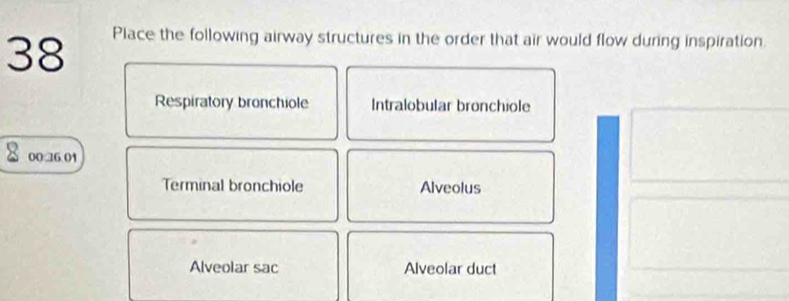 Place the following airway structures in the order that air would flow during inspiration
Respiratory bronchiole Intralobular bronchiole
00 36.01
Terminal bronchiole Alveolus
Alveolar sac Alveolar duct