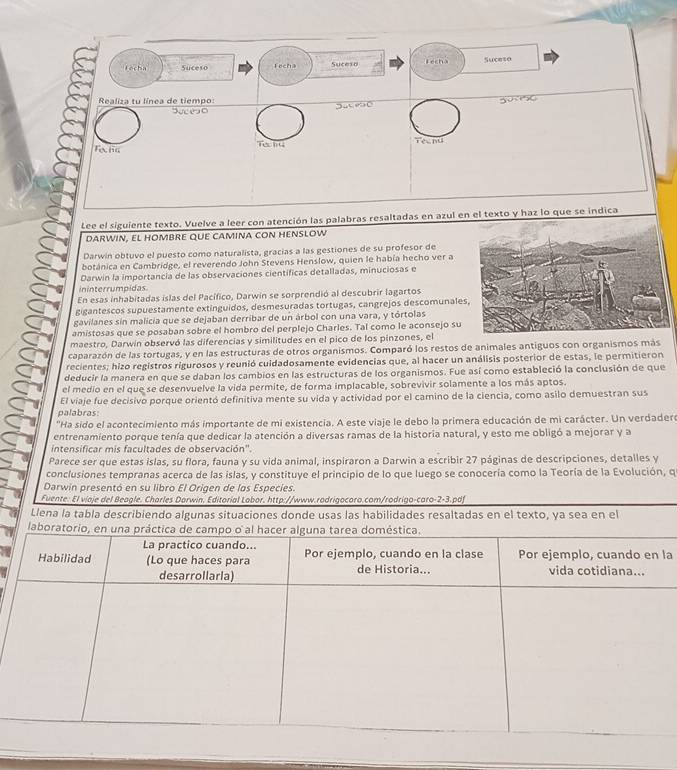 Tocha Suceso Fecha Suceso Fecho Suceso
Realiza tu línea de tiempo: 3056
Suceso
fo ha Techt Tee nu
Lee el siguiente texto. Vuelve a leer con atención las palabras resaltadas en azul en el texto y haz lo que se indica
DARWIN, EL HOMBRE QUE CAMINA CON HENSLOW
Darwin obtuvo el puesto como naturalista, gracias a las gestiones de su profesor de
botánica en Cambridge, el reverendo John Stevens Henslow, quien le había hecho ver a
Darwin la importancia de las observaciones científicas detalladas, minuciosas e
ininterrumpidas
En esas inhabitadas islas del Pacífico, Darwin se sorprendió al descubrir lagartos
gigantescos supuestamente extinguidos, desmesuradas tortugas, cangrejos descomunale
gavilanes sin malicia que se dejaban derribar de un árbol con una vara, y tórtolas
amistosas que se posaban sobre el hombro del perplejo Charles. Tal como le aconsejo su
maestro, Darwin observó las diferencias y similitudes en el pico de los pinzones, el
caparazón de las tortugas, y en las estructuras de otros organismos. Comparó los restos de animales antiguos con organismos más
recientes; hizo registros rigurosos y reunió cuidadosamente evidencias que, al hacer un análisis posterior de estas, le permitieron
deducir la manera en que se daban los cambios en las estructuras de los organismos. Fue así como estableció la conclusión de que
el medio en el que se desenvuelve la vida permite, de forma implacable, sobrevivir solamente a los más aptos.
El viaje fue decisivo porque orientó definitiva mente su vida y actividad por el camino de la ciencia, como asilo demuestran sus
palabras:
"Ha sido el acontecimiento más importante de mi existencia. A este viaje le debo la primera educación de mi carácter. Un verdadere
entrenamiento porque tenía que dedicar la atención a diversas ramas de la historia natural, y esto me obligó a mejorar y a
intensificar mis facultades de observación'.
Parece ser que estas islas, su flora, fauna y su vida animal, inspiraron a Darwin a escribir 27 páginas de descripciones, detalles y
conclusiones tempranas acerca de las islas, y constituye el principio de lo que luego se conocería como la Teoría de la Evolución, qí
Darwin presentó en su libro El Origen de los Especies.
Fuente: El viaje del Beagle. Charles Darwin. Editorial Labor. http://www.rodrigocoro.com/rodrigo-caro-2-3.pdf
Llena la tabla describiendo algunas situaciones donde usas las habilidades resaltadas en el texto, ya sea en el
la