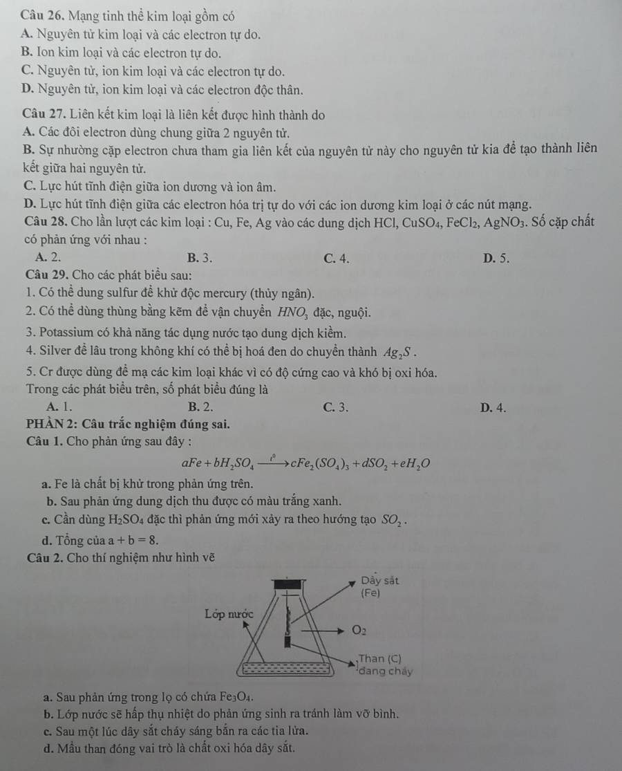 Mạng tinh thể kim loại gồm có
A. Nguyên tử kim loại và các electron tự do.
B. Ion kim loại và các electron tự do.
C. Nguyên tử, ion kim loại và các electron tự do.
D. Nguyên tử, ion kim loại và các electron độc thân.
Câu 27. Liên kết kim loại là liên kết được hình thành do
A. Các đôi electron dùng chung giữa 2 nguyên tử.
B. Sự nhường cặp electron chưa tham gia liên kết của nguyên tử này cho nguyên tử kia để tạo thành liên
kết giữa hai nguyên tử.
C. Lực hút tĩnh điện giữa ion dương và ion âm.
D. Lực hút tĩnh điện giữa các electron hóa trị tự do với các ion dương kim loại ở các nút mạng.
Câu 28. Cho lần lượt các kim loại : Cu, Fe, Ag vào các dung dịch HCl, 6 CuSO_4,FeCl_2, ,AgNO_3. Số cặp chất
có phản ứng với nhau :
A. 2. B. 3. C. 4. D. 5.
Câu 29. Cho các phát biểu sau:
1. Có thể dung sulfur đề khử độc mercury (thủy ngân).
2. Có thể dùng thùng bằng kẽm để vận chuyền HNO₃ đặc, nguội.
3. Potassium có khả năng tác dụng nước tạo dung dịch kiểm.
4. Silver đề lâu trong không khí có thể bị hoá đen do chuyền thành Ag_2S.
5. Cr được dùng đề mạ các kim loại khác vì có độ cứng cao và khó bị oxi hóa.
Trong các phát biểu trên, số phát biểu đúng là
A. 1. B. 2. C. 3. D. 4.
PHÀN 2: Câu trắc nghiệm đúng sai.
Câu 1. Cho phản ứng sau đây :
aFe+bH_2SO_4xrightarrow i°cFe_2(SO_4)_3+dSO_2+eH_2O
a. Fe là chất bị khử trong phản ứng trên.
b. Sau phản ứng dung dịch thu được có màu trắng xanh.
c. Cần dùng H_2SO_4 đặc thì phản ứng mới xảy ra theo hướng tạo SO_2.
d. Tổng của a+b=8.
Câu 2. Cho thí nghiệm như hình vẽ
a. Sau phản ứng trong lọ có chứa Fe_3O_4.
b. Lớp nước sẽ hấp thụ nhiệt do phản ứng sinh ra tránh làm vỡ bình.
c. Sau một lúc dây sắt cháy sáng bắn ra các tia lửa.
d. Mẫu than đóng vai trò là chất oxi hóa dây sắt.