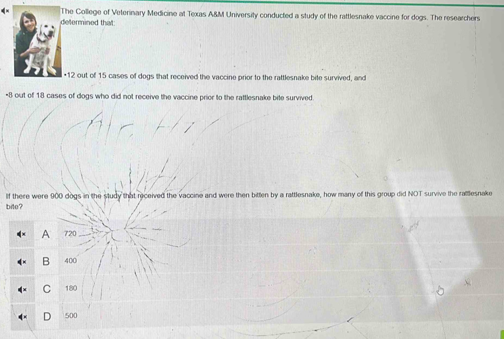 The College of Veterinary Medicine at Texas A&M University conducted a study of the rattlesnake vaccine for dogs. The researchers
determined that:
• 12 out of 15 cases of dogs that received the vaccine prior to the rattlesnake bite survived, and
• 8 out of 18 cases of dogs who did not receive the vaccine prior to the rattlesnake bite survived.
If there were 900 dogs in the study that received the vaccine and were then bitten by a rattlesnake, how many of this group did NOT survive the rattlesnake
bite?
A 720
B 400
C 180
500