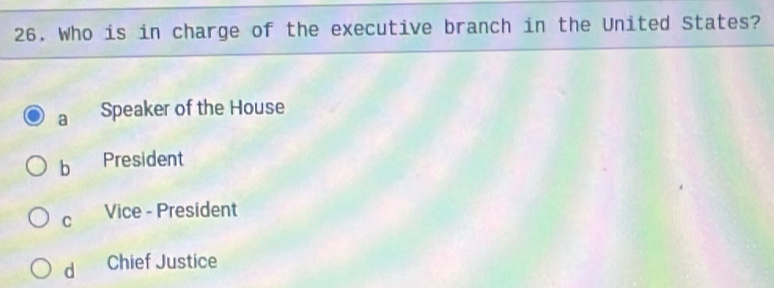 Who is in charge of the executive branch in the United States?
a Speaker of the House
b President
C Vice - President
d Chief Justice