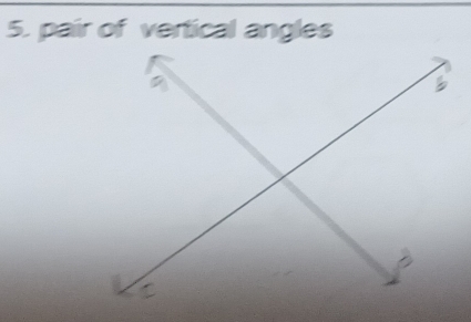 pair of vertical angles