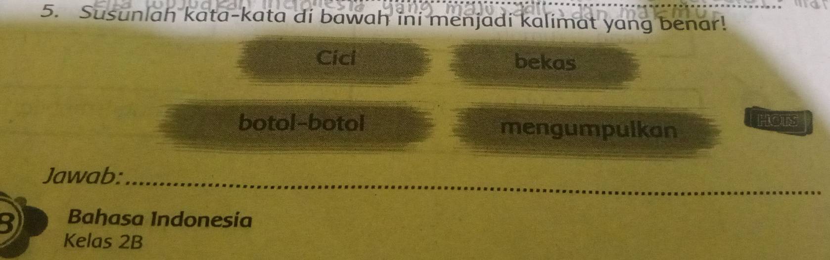 Susunlah kata-kata di bawah ini menjadi kalimat yang benar! 
Cici bekas 
botol-botol mengumpulkan 
HOTS 
_ 
Jawab:_ 
3 Bahasa Indonesia 
Kelas 2B