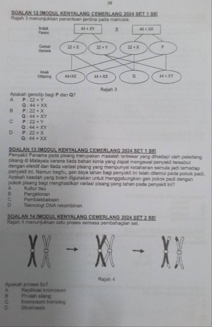 Soalan 12 [Modul Kenyalang Cemerlang 2024 set 1 S8]
Rajah 3 menunjukkan penentuan jantina pada manusia.
Apakah genotip bagi P dan Q?
A P:22+Y
Q:44+XX
B P:22+X
Q:44+XY
C P:22+Y
Q:44+XY
D P:22+X
Q:44+XX
SOALAN 13 [MODUL KENYALANG CEMERLANG 2024 SET 1 S9]
Penyakit Panama pada pisang merupakan masalah terbesar yang dinadapi oleh peladang
pisang di Malaysia kerana tiada bahan kimia yang dapat mengawal penyakit tersebut
dengan efektif dan tiada variasi pisang yang mempunyai ketahanan semula jaci terhadap
penyakit ini. Namun begitu, gen daya tahan bagi penyakit ini telah ditemui pada pokok padi.
Apakah kaedah yang boleh digunakan untuk menggabungkan gen pokok padi dengan
pokok pisang bagi menghasilkan variasi pisang yang tahan pada penyakit ini?
A Kultur tisu
B Pengklonan
C Pembiakbakaan
D Teknologi DNA rekombinan
SOaLAN 14 [MODUL KENyALánG CEMErLAng 2024 SET 2 S8]
Rajah 4 manunjukkan satu proses semasa pembahagian sel.
Rajah 4
Apakah proses itu?
A Replikasi kromosom
B Pindah silang
C Kromosom homolog
D Sitokinesis