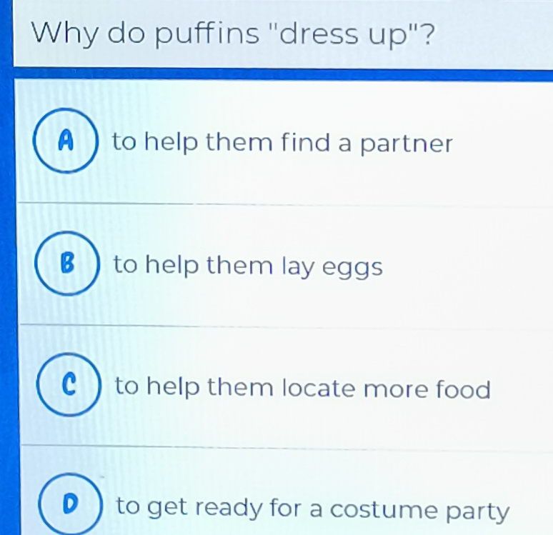 Why do puffins "dress up"?
A  to help them find a partner
€  to help them lay eggs
C )to help them locate more food
to get ready for a costume party