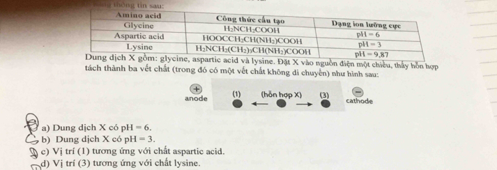 ặt X vào nguồn điện một chiều, thấy hỗn hợp
tách thành ba vết chất (trong đó có một vết chất không di chuyển) như hình sau:
anode (1) (hỗn hợp X) (3) cathode
a) Dung dịch X có pH =6.
b) Dung dịch X có pH =3.
c) V i trí (1) tương ứng với chất aspartic acid.
d) Vị trí (3) tương ứng với chất lysine.