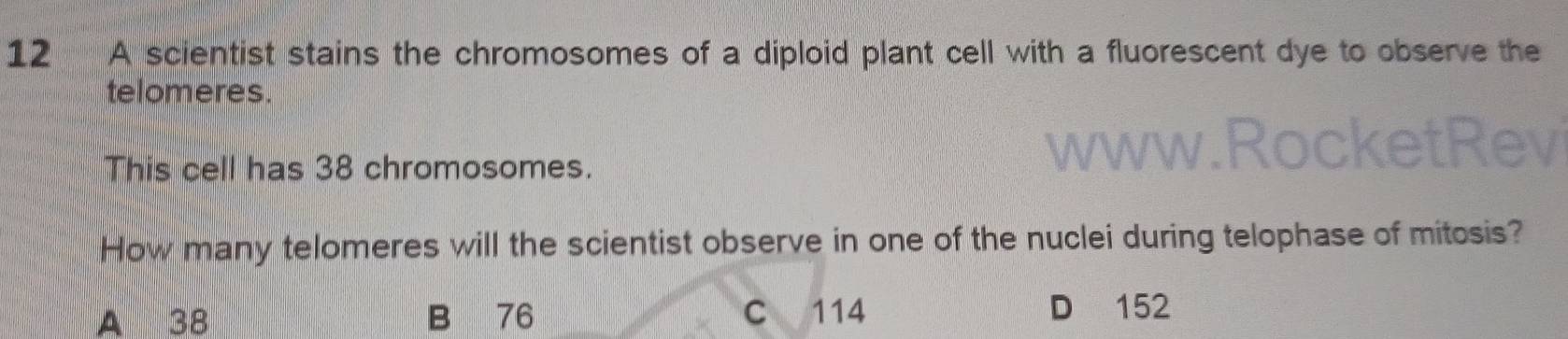 A scientist stains the chromosomes of a diploid plant cell with a fluorescent dye to observe the
telomeres.
This cell has 38 chromosomes. www.RocketRe
a
How many telomeres will the scientist observe in one of the nuclei during telophase of mitosis?
A 38 B 76 C 114
D 152