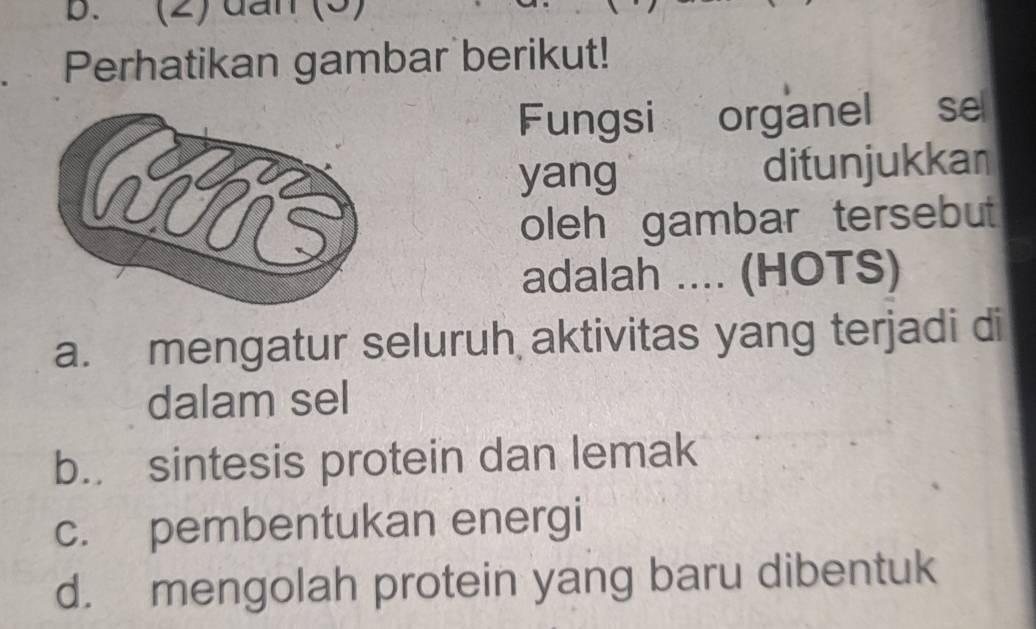 (2) dan (3)
Perhatikan gambar berikut!
Fungsi organel sel
yang ditunjukkan
oleh gambar tersebut
adalah .... (HOTS)
a. mengatur seluruh aktivitas yang terjadi di
dalam sel
b.. sintesis protein dan lemak
c. pembentukan energi
d. mengolah protein yang baru dibentuk