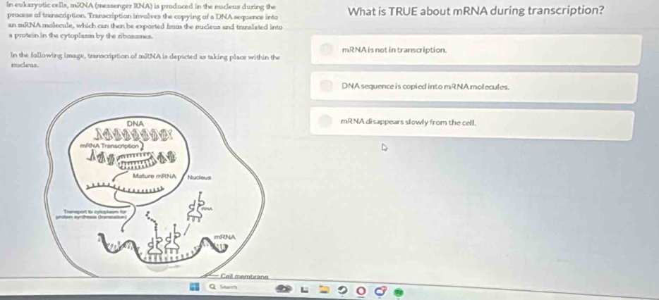 In eukaryotic cells, mRNA (messenger RNA) is produced in the nucleus during the What is TRUE about mRNA during transcription?
process of transcription. Transcription involves the copying of a DNA sequence into
an mRNA molecule, which can then be exported from the nucieus and translated into
a protein in the cytoplasm by the ribosomes.
mRNA is not in transcription.
In the following image, transcription of mRNA is depicted as taking place within the
nuceus.
DNA sequence is copied into mRNA molecules.
mRNA disappears slowly from the cell.
Q Sear