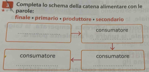 Completa lo schema della catena alimentare con le 
parole: 
finale • primario • produttore • secondario 
_ 
consumatore 
_ 
_ 
consumatore consumatore 
_ 
_