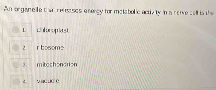 An organelle that releases energy for metabolic activity in a nerve cell is the
1. chloroplast
2. ribosome
3. mitochondrion
4. vacuole