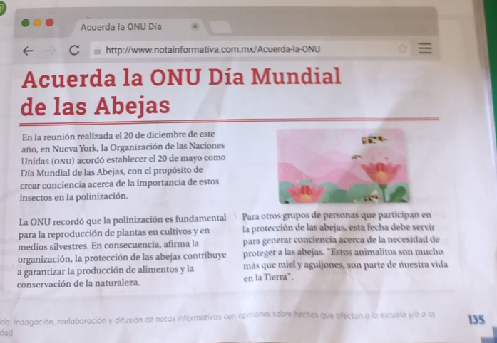 Acuerda la ONU Día χ 
C http://www.notainformativa.com.mx/Acuerda-la-ONU 
Acuerda la ONU Día Mundial 
de las Abejas 
En la reunión realizada el 20 de diciembre de este 
año, en Nueva York, la Organización de las Naciones 
Unidas (ONU) acordó establecer el 20 de mayo como 
Día Mundial de las Abejas, con el propósito de 
crear conciencia acerca de la importancia de estos 
insectos en la polinización. 
La ONU recordó que la polinización es fundamental Para otros grupos de personas que participan en 
para la reproducción de plantas en cultivos y en la protección de las abejas, esta fecha debe servir 
medios silvestres. En consecuencia, afirma la para generar conciencía acerca de la necesidad de 
organización, la protección de las abejas contribuye proteger a las abejas. "Estos animalitos son mucho 
a garantizar la producción de alimentos y la más que miel y aguijones, son parte de nuestra vida 
conservación de la naturaleza. en la Tierra", 
ido: Indagación, reelaboración y difusión de notas informativas con opiniones sobre hechos que afectan a la escuela ya a la 135
dad