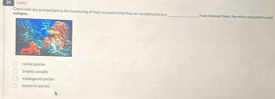 24 1 point
Coral reefs are so important to the functioning of their ecosystem that they are considered to be a_ , if we removed them, the entire ecosystem could
collapse.
, native species
trophic cascade
endangered species
keystone species