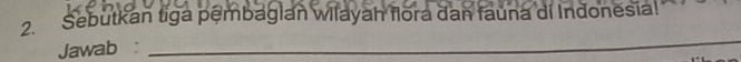 Sebutkan tiga pêmbaglan wilayah flora dan fauna di Indonesia! 
Jawab: 
_