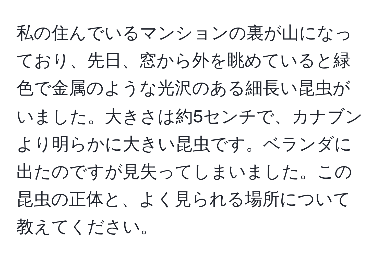 私の住んでいるマンションの裏が山になっており、先日、窓から外を眺めていると緑色で金属のような光沢のある細長い昆虫がいました。大きさは約5センチで、カナブンより明らかに大きい昆虫です。ベランダに出たのですが見失ってしまいました。この昆虫の正体と、よく見られる場所について教えてください。