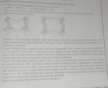 Jawablah pertanyaan-pertanyaan berikut dengan jelas dan tepat! 
1 Di suatu ekosister terdspat rantai makaran herikut! 
Rumput - belstang - turong prenjsk - ulsr 
2. Perhatikan gamhar benkul! islaakan perubahan yang terjadi pada ekosistem tersebut jika auwng prsnjak punal 
Gambar A menunjukkan kondisi kabeš listrik pada siang hari dan gambær B menuajukkan 
berbeda? Jelaskan! kondisi kabel listrik pada malam han. Mengapa kondisı kabet pada sang hari dan malam nan 
3. Gajah mengandung anaknya antara 640 hani lingga 660 hari. Juah bayi yang dlahirkan 
pun umumnya hanya satu. Pertumbuhan anak gajah menuju dewasa mamakan wakiu yang 
larna. Hal ini yang membust gajah terancam mengalami kepunshan. Sebuškan usaha yang 
dapst dilakukan untuk mencegah kepunahan hewan tersebut! 
Energi bersifat kekal. Setama jutaan tahun, energi hanya berubah bentuk dad satu bentuk 
ke bentuk lainnya. Oleh manusia, energi diubah bentukrya untuk mensgankan pekerjaan 
Dalam kehidupan sehari-hari, seorang ibu rumah tangga sangat terbartu dengan beberapa 
alat elektronik yang menggunakan listrik sebagai sumber energinya seperti setrika, blender, 
magic cor, dan masih banyak yang lainnya. Berkaitan dengan hai tersebut, tuliskan 3 (tiga) 
perubahan energi yang terjadi pada alst-alat tersebut! 
Sebut dan jelaskan tiga macam gerhana Matahan!